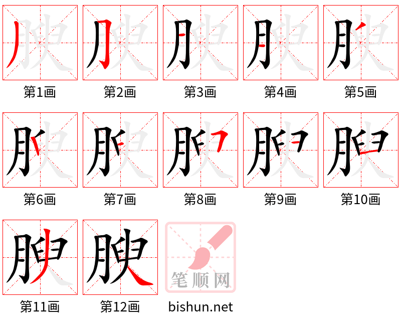 腴 笔顺规范