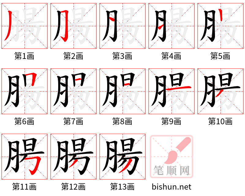 腸 笔顺规范