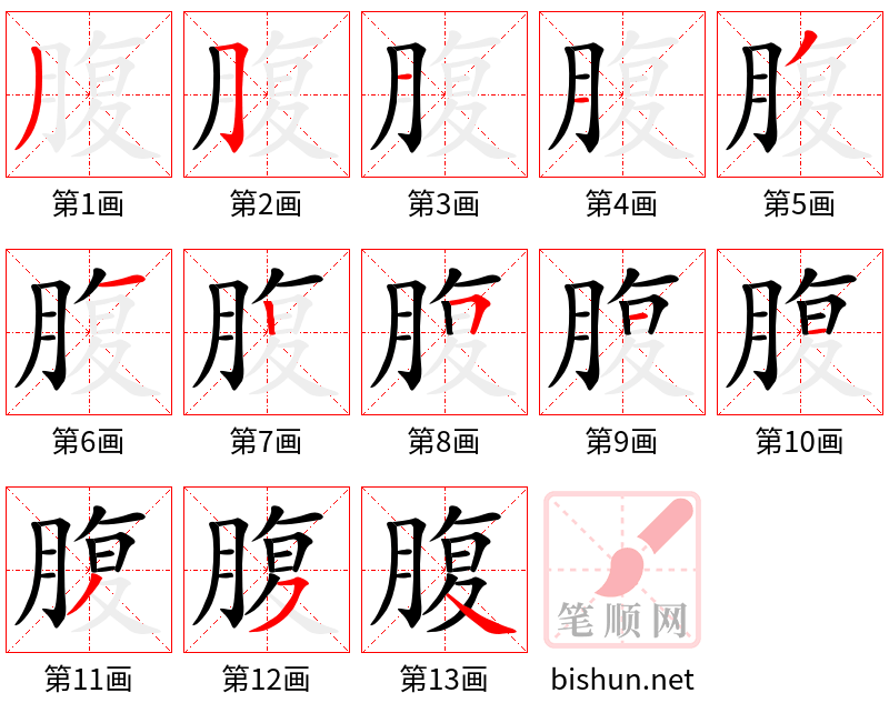 腹 笔顺规范