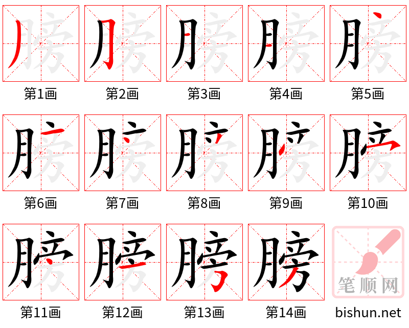 膀 笔顺规范