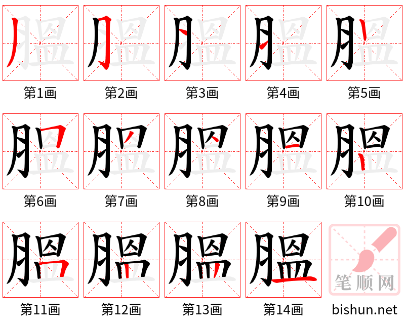 膃 笔顺规范