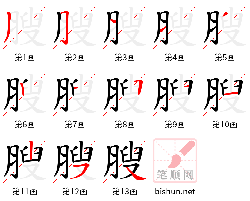 膄 笔顺规范