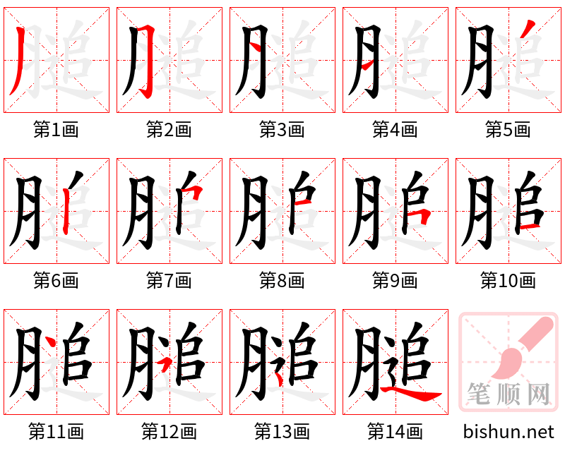 膇 笔顺规范