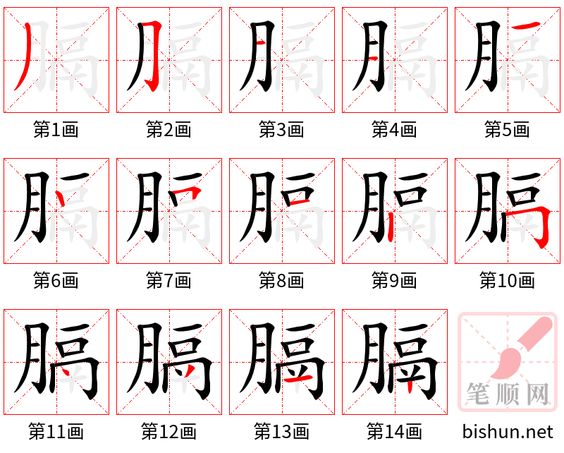 膈 笔顺规范