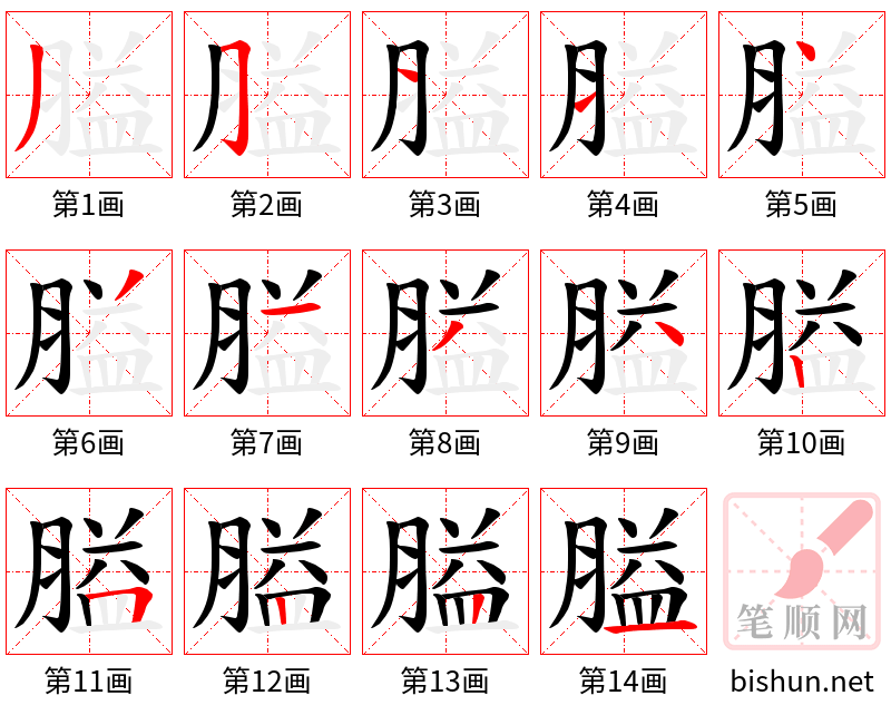 膉 笔顺规范