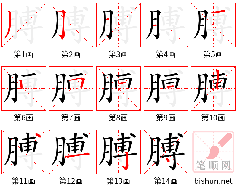 膊 笔顺规范