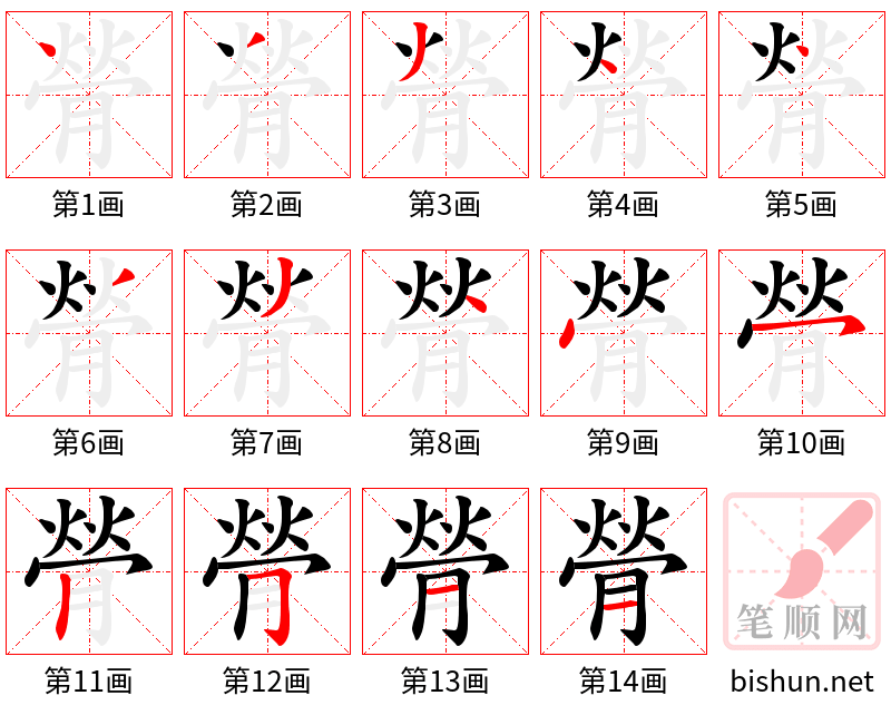 膋 笔顺规范