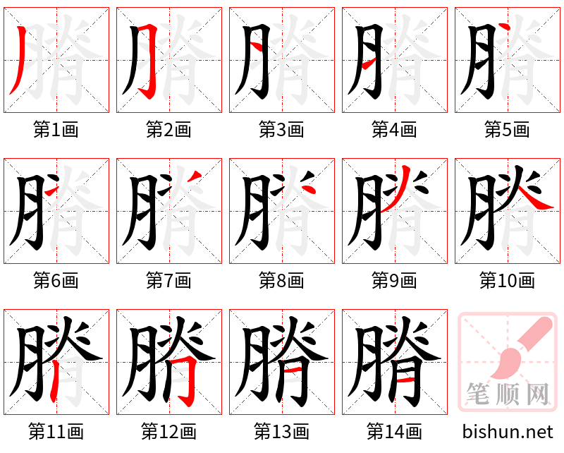 膌 笔顺规范