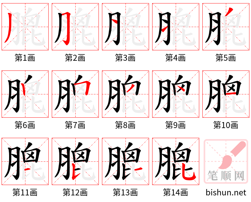 膍 笔顺规范