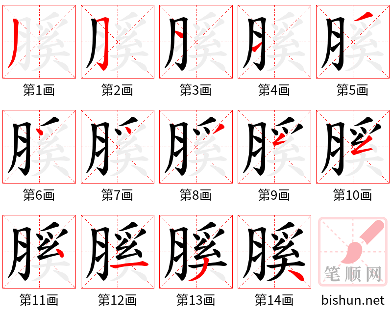 膎 笔顺规范