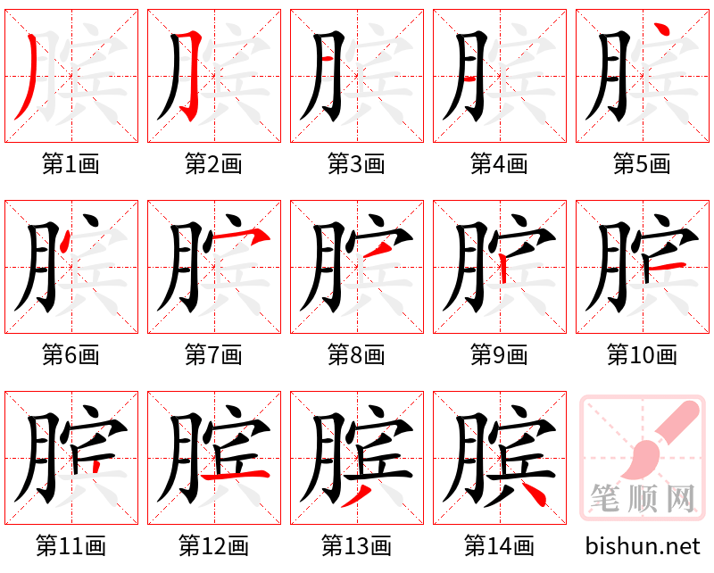 膑 笔顺规范