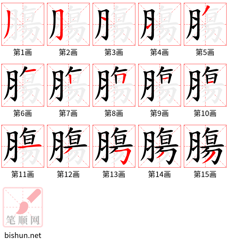 膓 笔顺规范