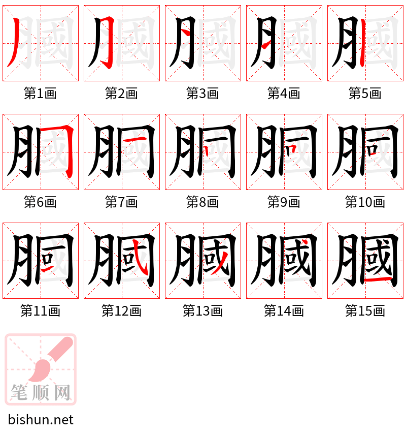 膕 笔顺规范