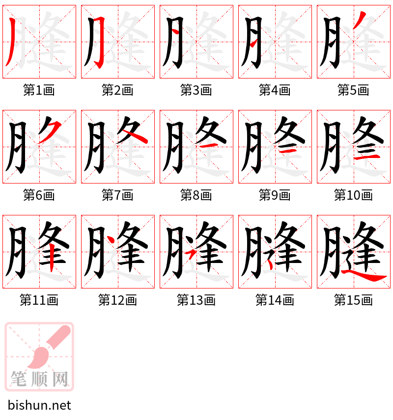 膖 笔顺规范