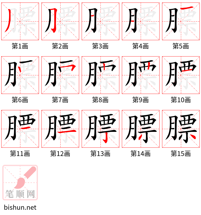 膘 笔顺规范