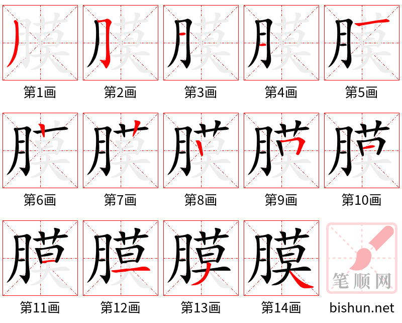 膜 笔顺规范