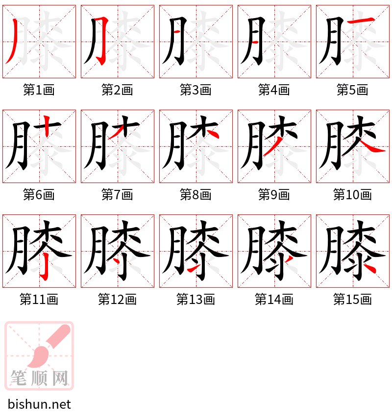 膝 笔顺规范