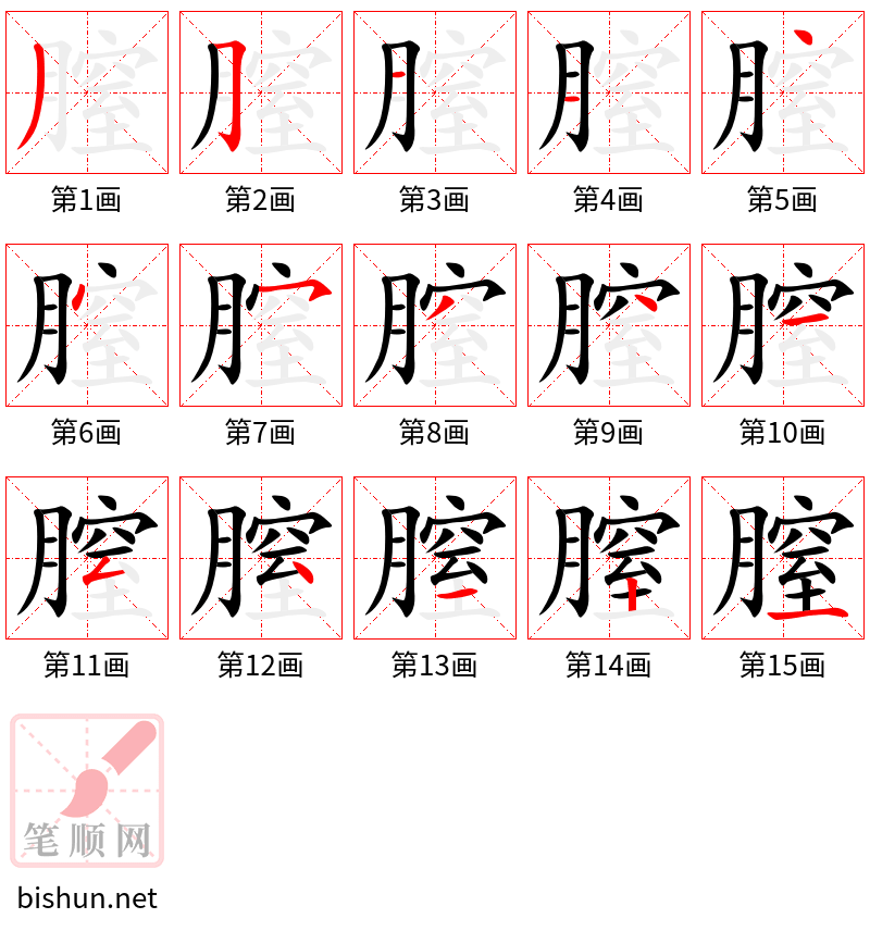 膣 笔顺规范