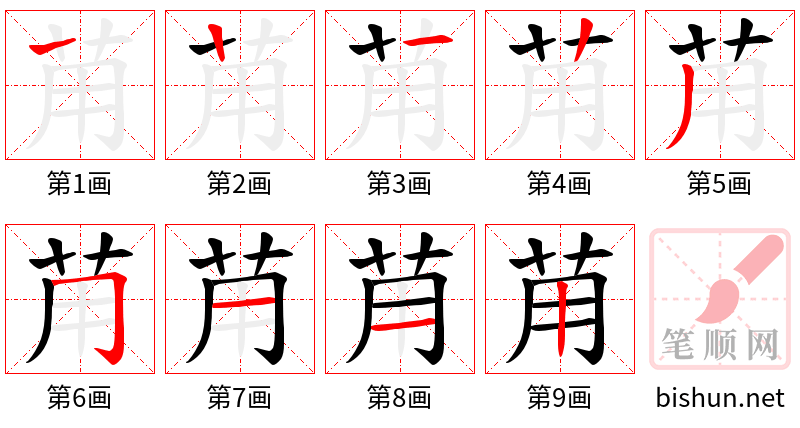 苚 笔顺规范