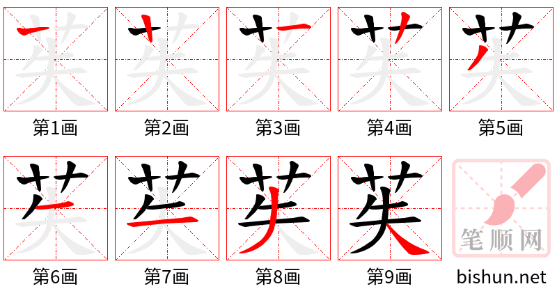 苵 笔顺规范