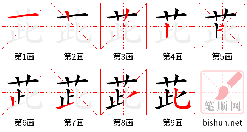 茈 笔顺规范