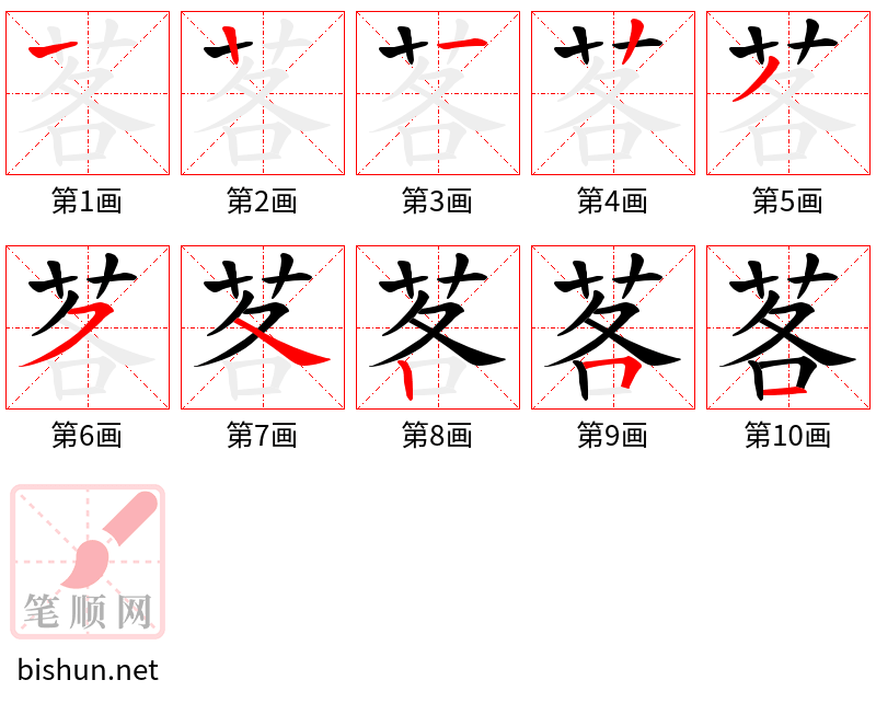 茖 笔顺规范