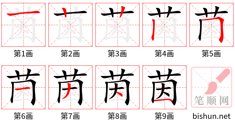 茵 笔顺规范