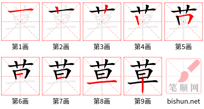 草 笔顺规范