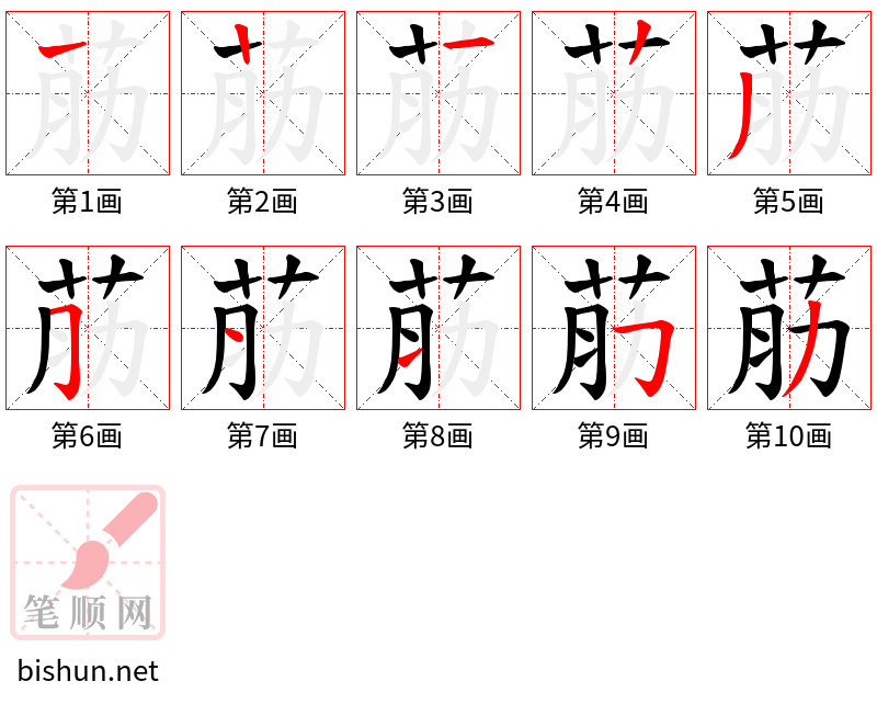 荕 笔顺规范