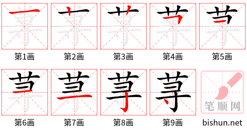 荨 笔顺规范