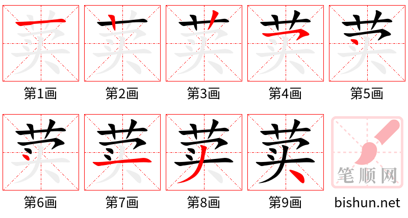 荬 笔顺规范