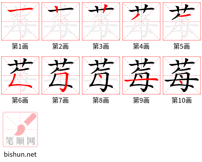 莓 笔顺规范