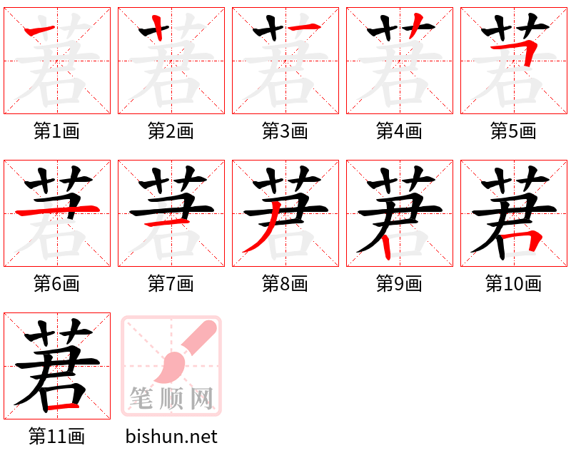 莙 笔顺规范