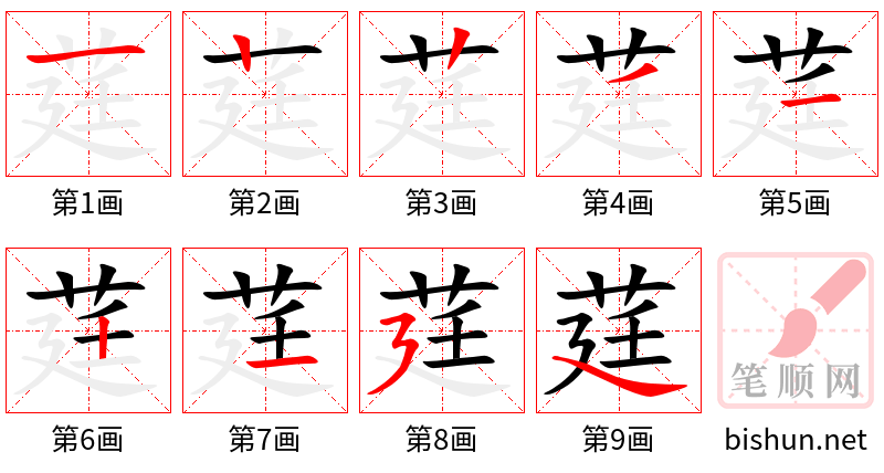 莛 笔顺规范