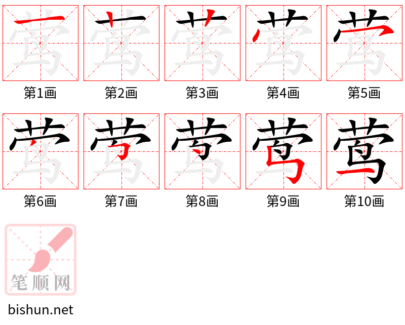 莺 笔顺规范