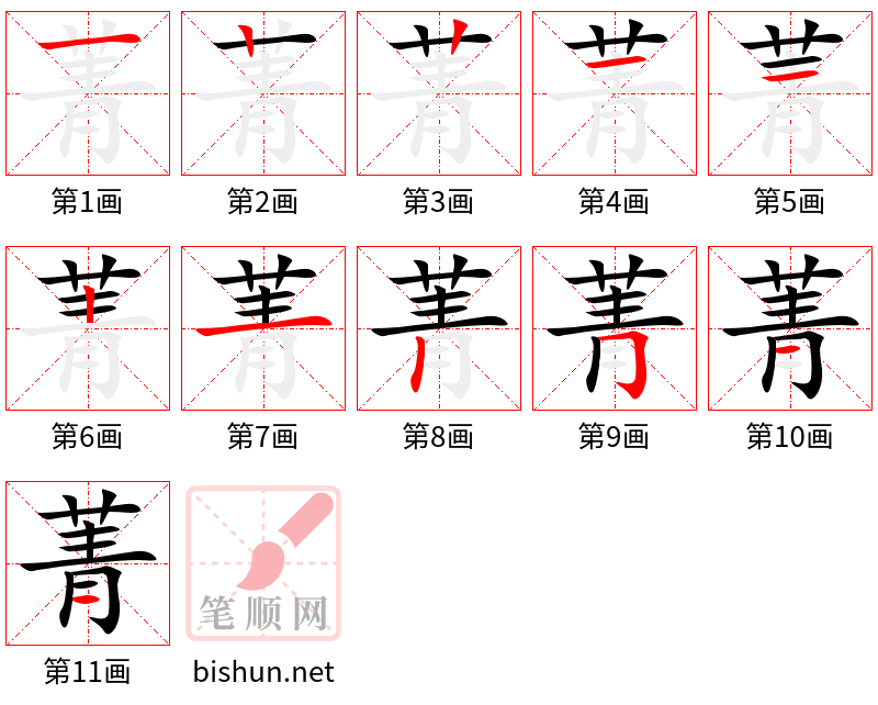 菁 笔顺规范