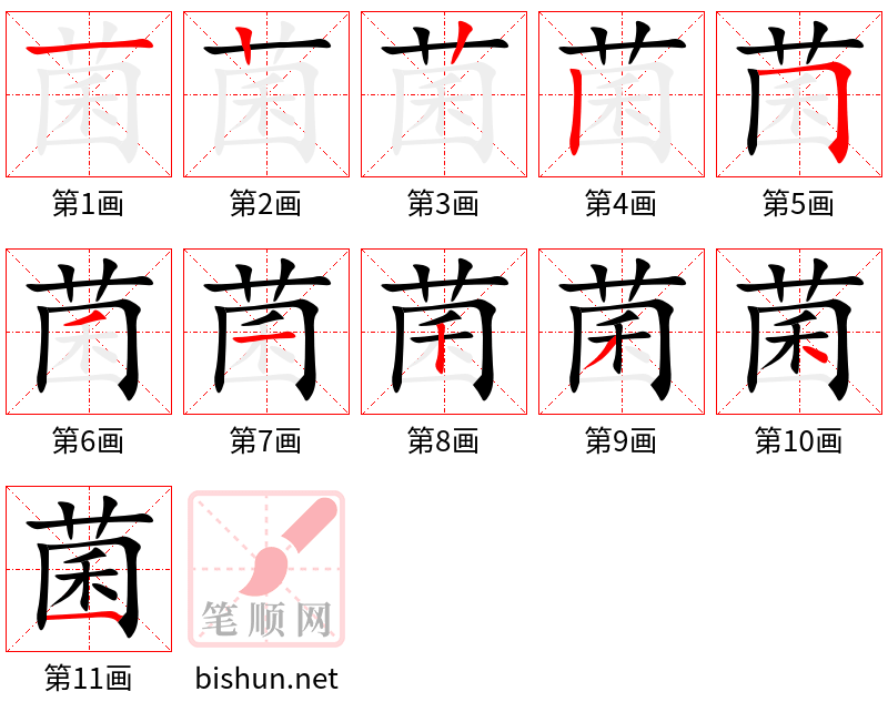 菌 笔顺规范