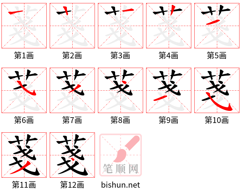 菚 笔顺规范