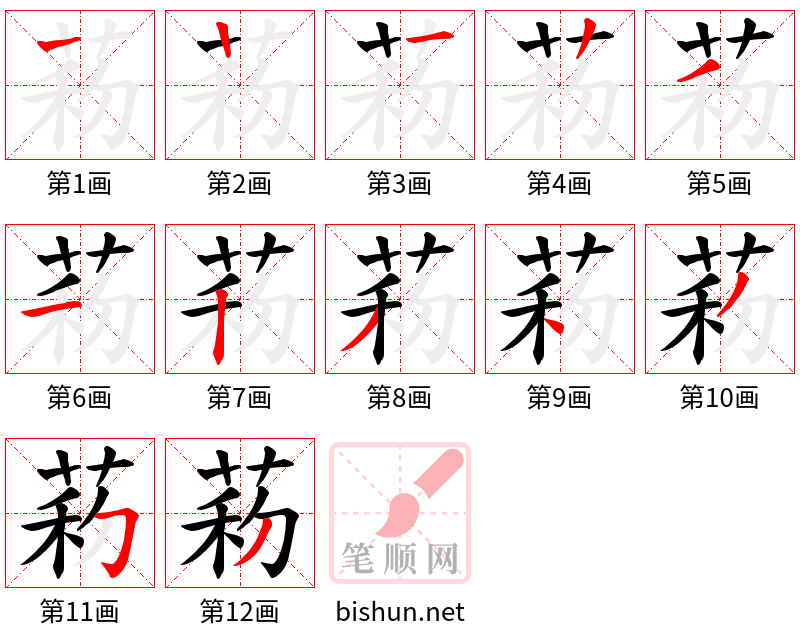 菞 笔顺规范