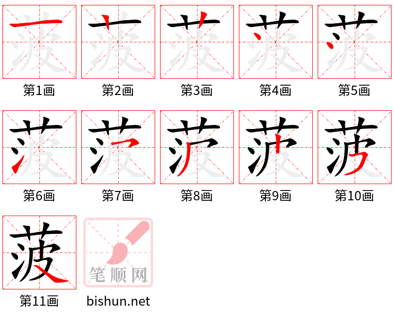 菠 笔顺规范