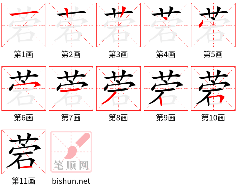 菪 笔顺规范