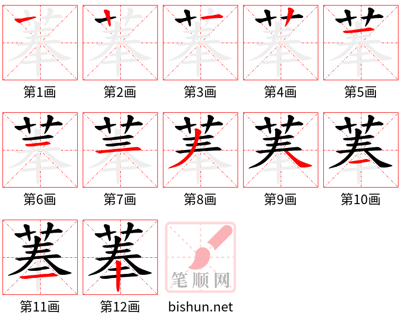 菶 笔顺规范