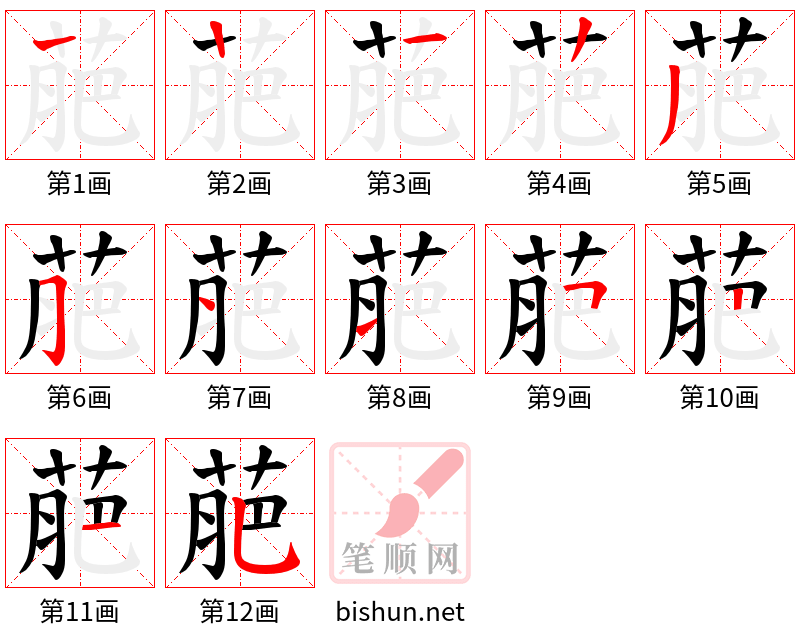 萉 笔顺规范