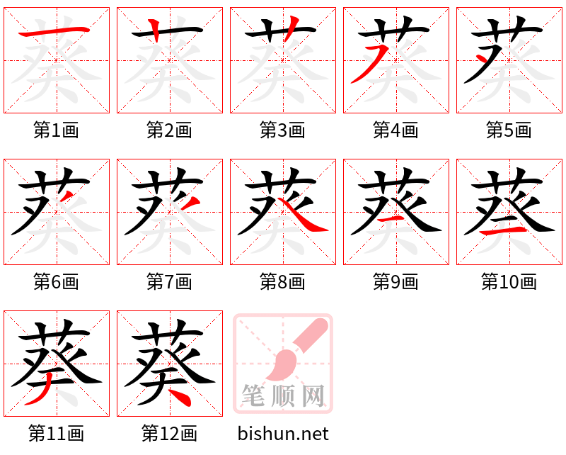 葵 笔顺规范