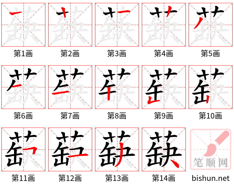 蒛 笔顺规范