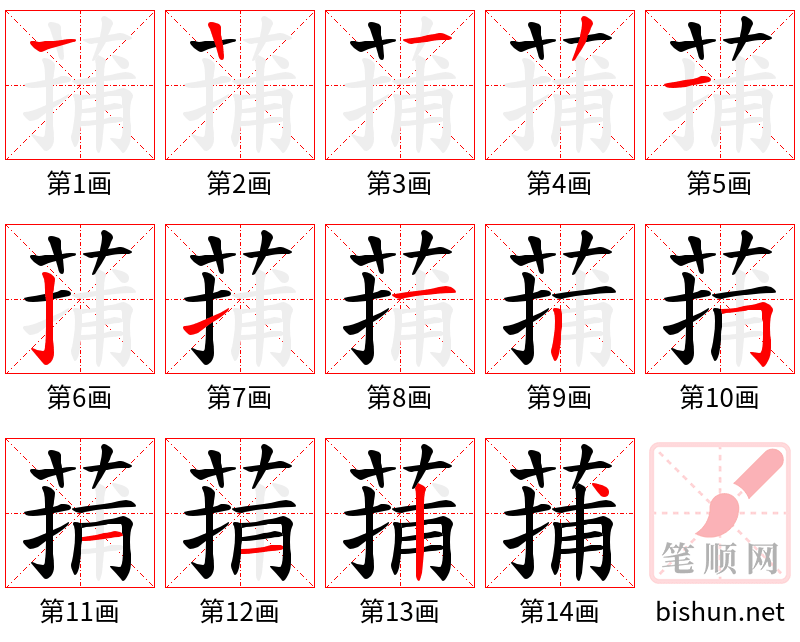 蒱 笔顺规范