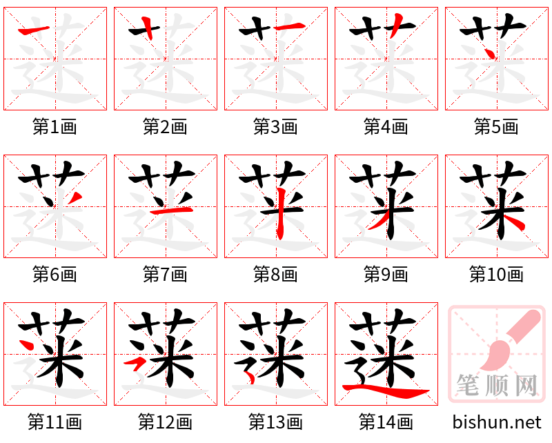 蒾 笔顺规范