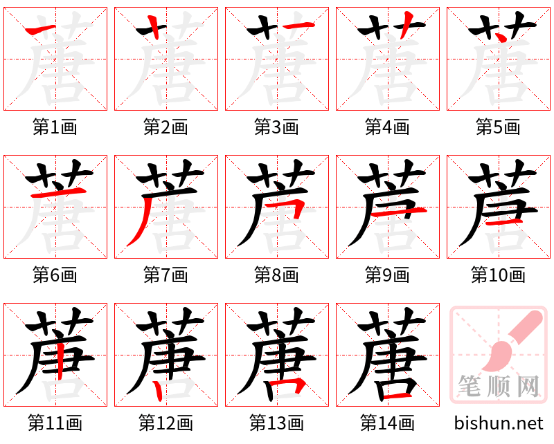 蓎 笔顺规范