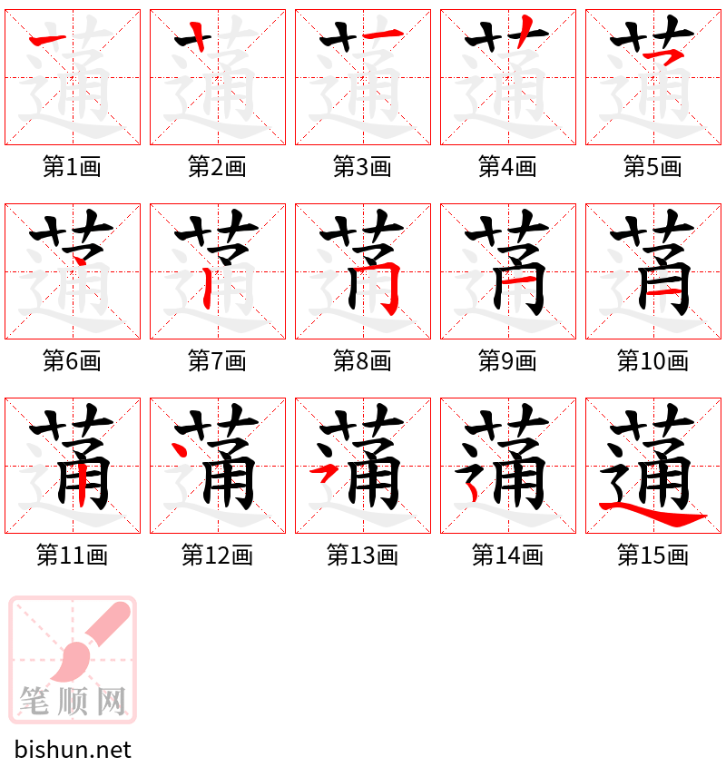 蓪 笔顺规范