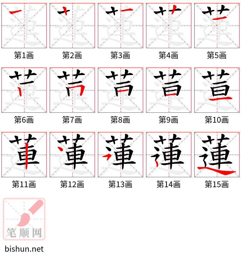 蓮 笔顺规范